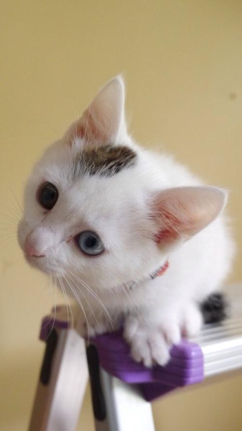 һ980!֣ݾһСթƭŻ